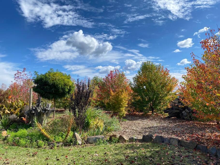 Villa Pull Up Stumps Rutherglen Esterno foto